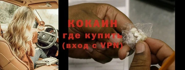 молекула духа Осташков