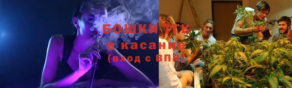 тгк Осинники