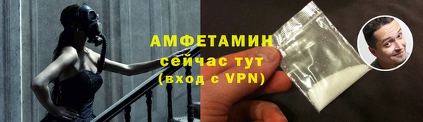 молекула духа Осташков