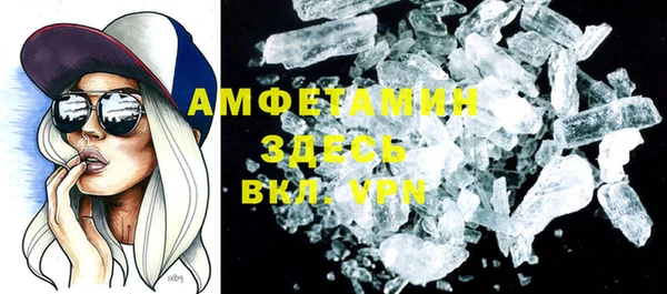 молекула духа Осташков