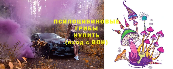 тгк Осинники
