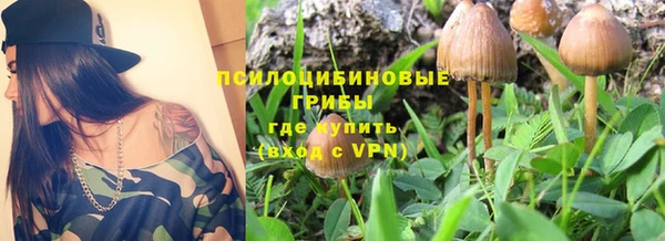 mdma Гвардейск