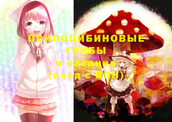 герыч Пересвет