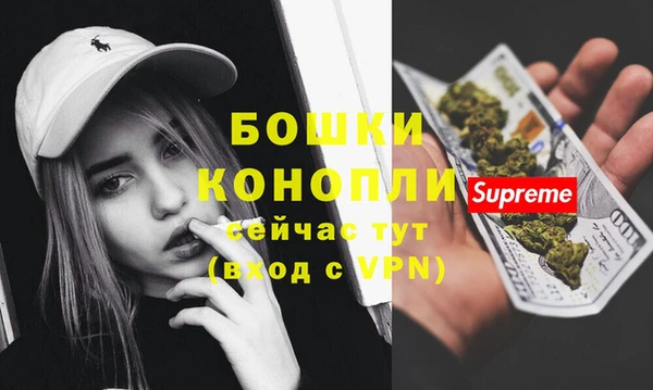 молекула духа Осташков