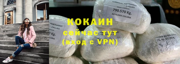 молекула духа Осташков
