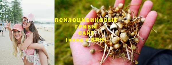 молекула духа Осташков