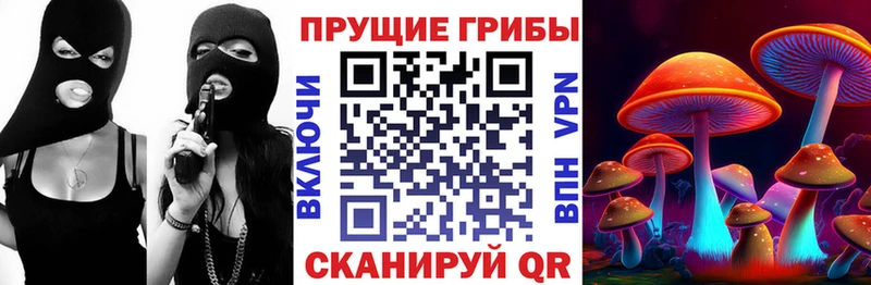 Псилоцибиновые грибы прущие грибы MEGA ссылки Ногинск shop какой сайт хочу наркоту