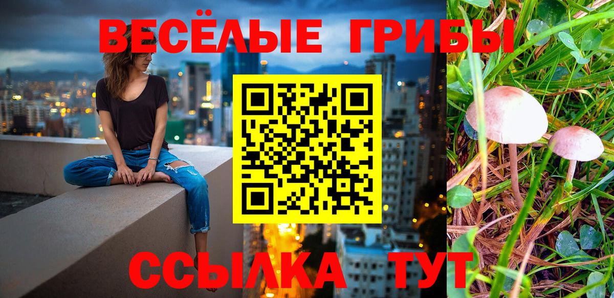 Псилоцибиновые грибы прущие грибы  Псилоцибиновые грибы MAGIC MUSHROOMS  Ногинск  Вход с VPN 