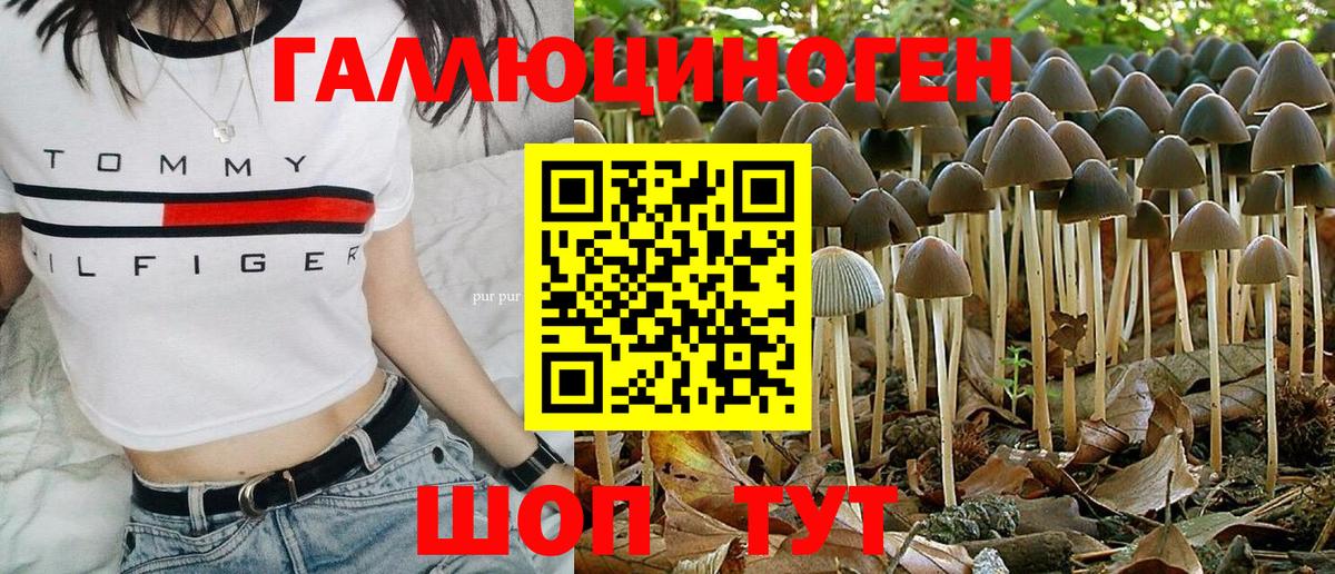 Псилоцибиновые грибы Psilocybine cubensis Ногинск